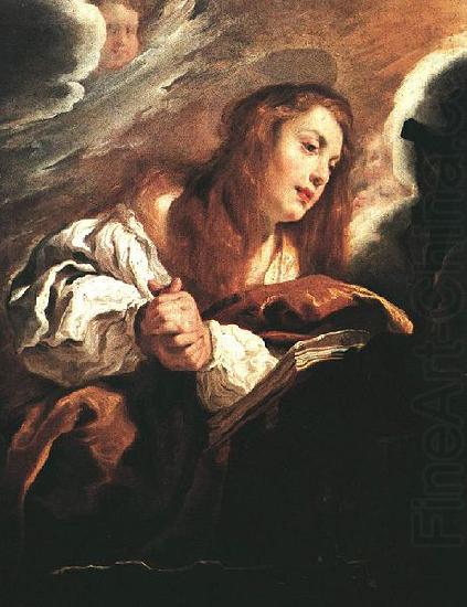 Domenico Fetti Saint Mary Magdalene Penitent china oil painting image